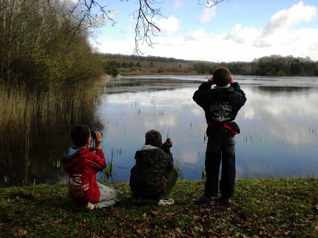 Observation d'oiseaux à l'étang des liesses