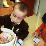 Nourrissage d'oiseaux en hiver