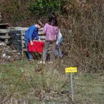 Le compost, processus naturel de décomposition de la matière
