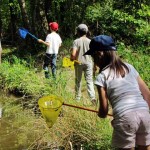 Pêche à la mare des Caillettes