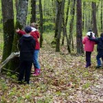 Découverte des arbres, approche sensorielle