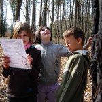 arbres approche scientifique