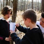 arbres approche artistique