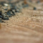 art zoom sur une toile