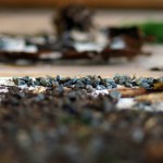 art zoom sur une toile