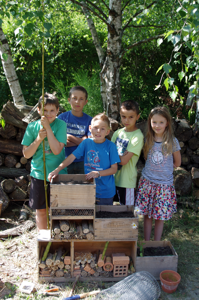 Mini hôtel à insectes