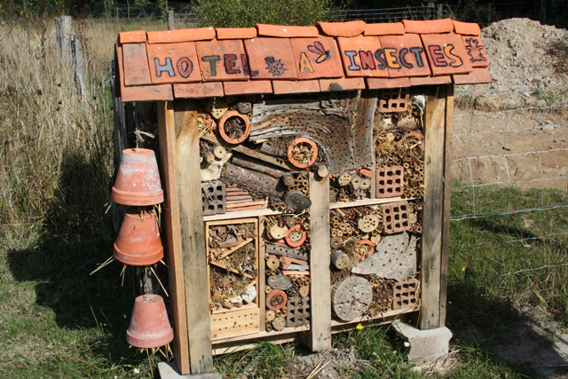 Hôtel à insectes, projet été 2012