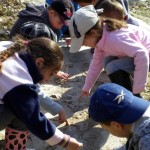 observation d'expérience sur le ruissellement