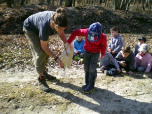 expérience : d'où vient l'argile, érosion, dépôt...