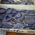 poteries cuites au four à bois